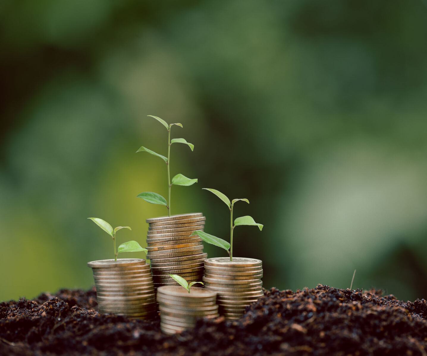 Stacks of coins sprouting green plants, symbolizing financial growth and sustainability, on rich soil background.