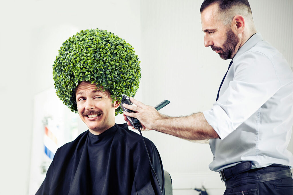 Barber humor: Man with plant-like hairstyle gets a trim, showcasing creativity and laughter in barbershop setting.