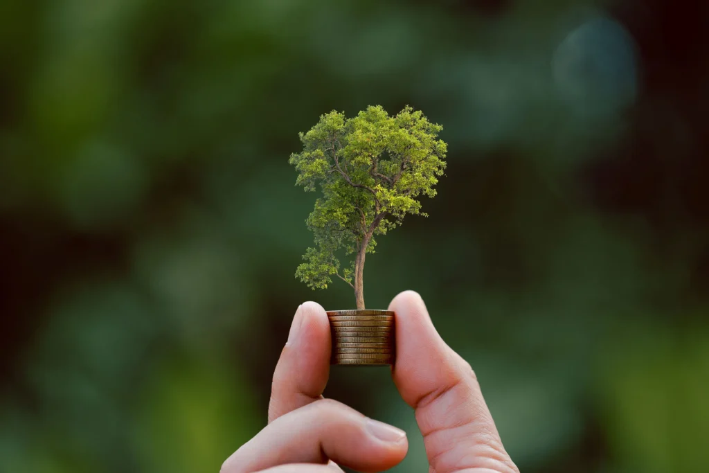 A hand holds coins with a tree growing on top, symbolizing sustainable investment and environmental growth.